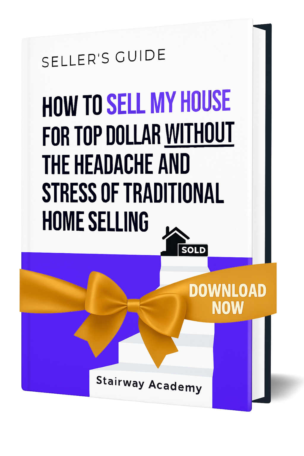 Seller’s Guide — book cover